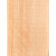 Cypress | Politiki Lyra Top