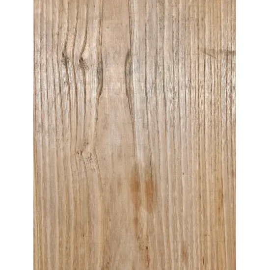 Elm