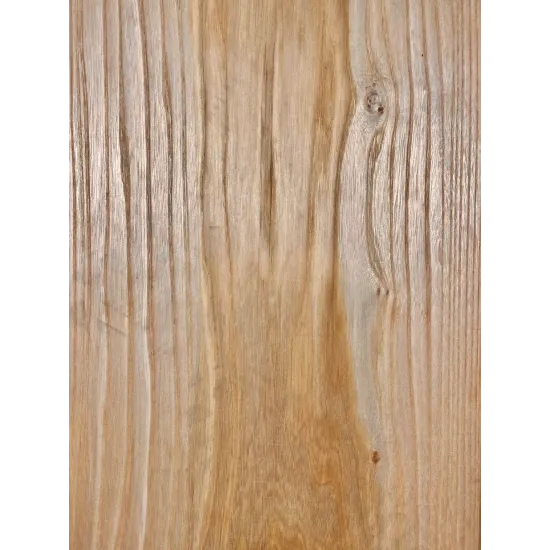 Elm