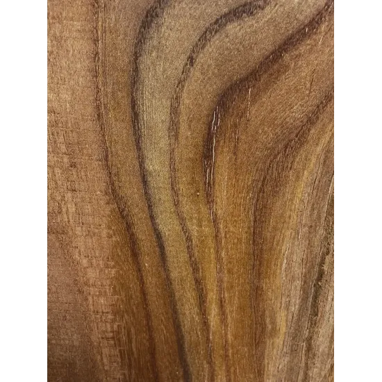 Elm