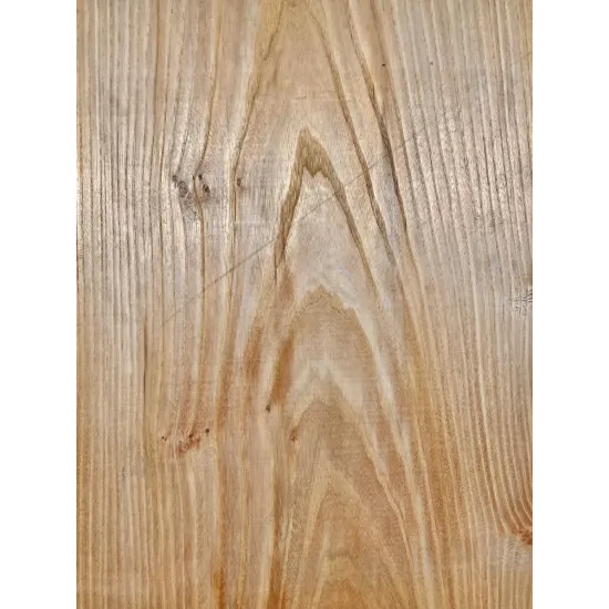 Elm