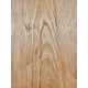 Elm