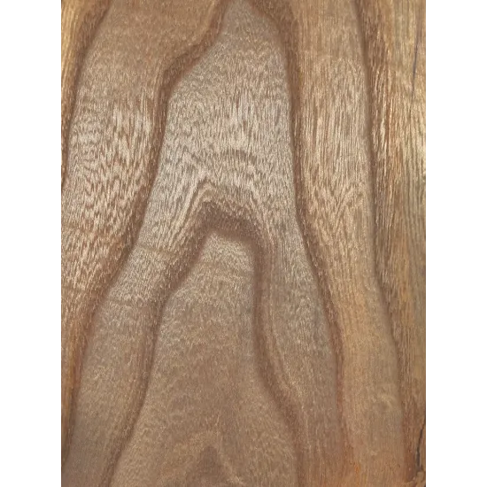 Elm