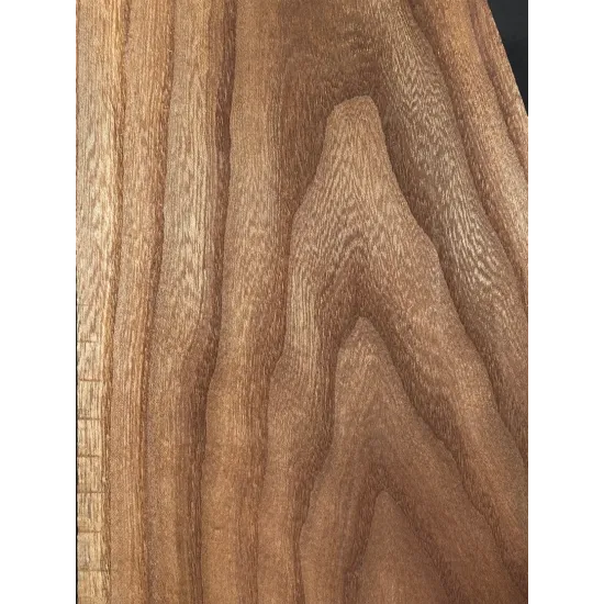 Elm
