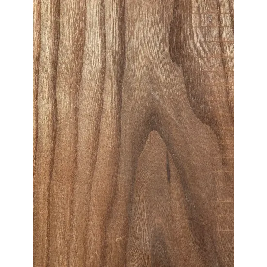 Elm