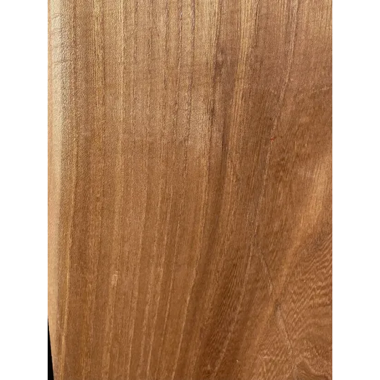 Elm