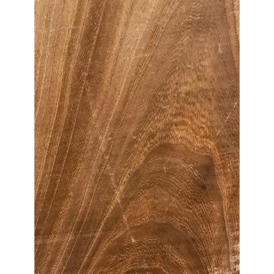 Elm