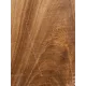 Elm